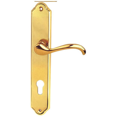 Brass Handle with Plate